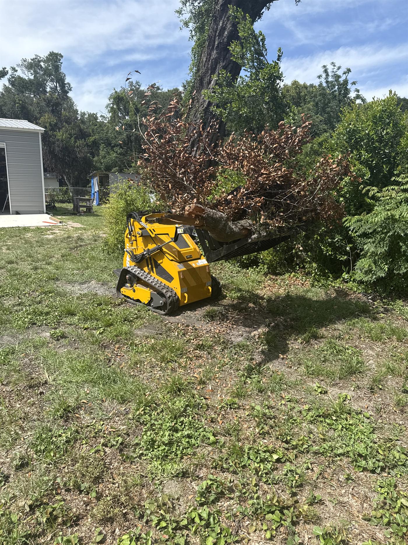 Compact tracked machine lifting a cut tree section during cleanup work.